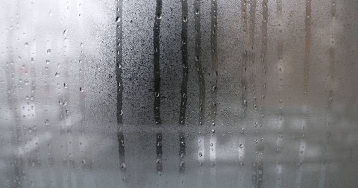 Windows will be free of condensation if 1 item that 'absorbs moisture' is used