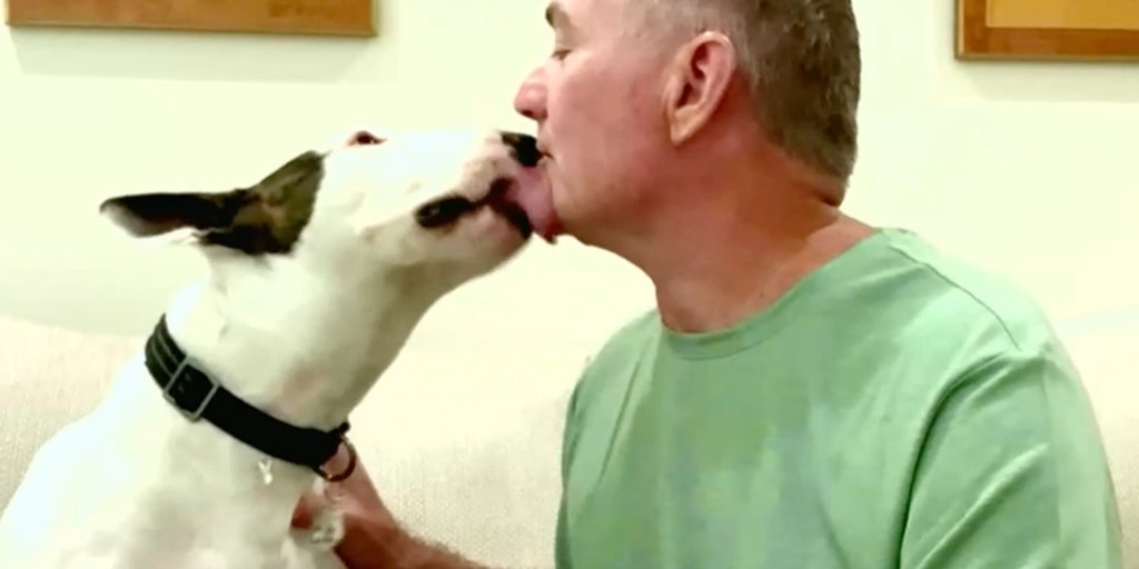 Dog left tied to chain during Hurricane Milton finds new loving home