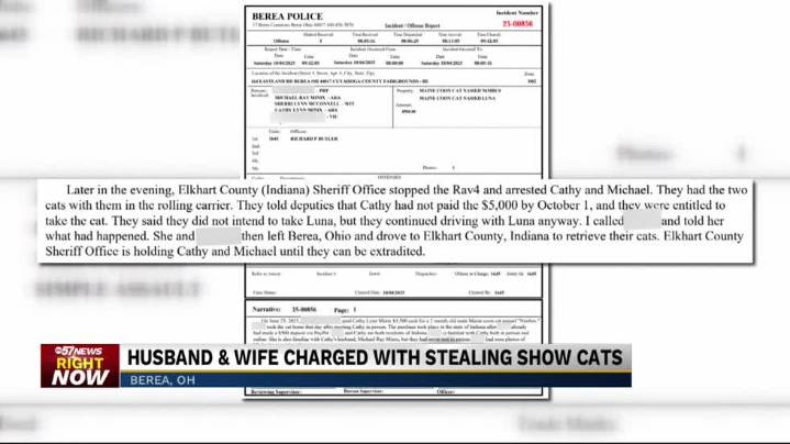 'Catnapping' incident brings similar accusations to forefront