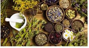 Lanzan Red Vietnam-Cuba de biotecnología agrícola y medicina natural