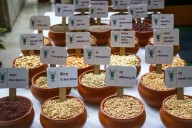 Centre aims to scale up domestic pulses production to 350 lakh tonnes by 2030