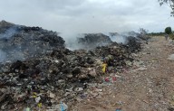 Refuerzan vigilancia ambiental en todo el Estado