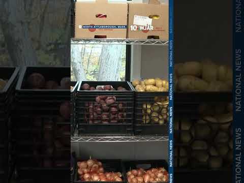 State leaders work to address looming SNAP benefit freeze amid growing fears