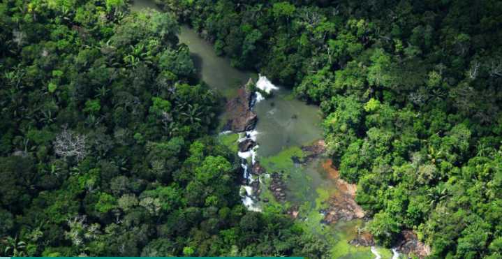 Más de 1 millón de hectáreas: el “país oculto” dentro de Colombia que casi nadie visita