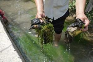 Vast reserves, but little to drink: Tajikistan’s water struggles