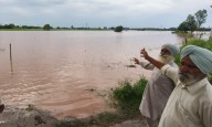 Monsoon promise turns sour for country's crops ruined by late downpours