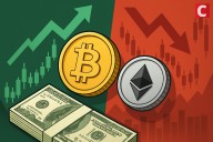 Smart Money Snaps Up Coins Amid Retail Panic