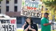 Michigan lawmakers float ban on new licenses for large marijuana farms