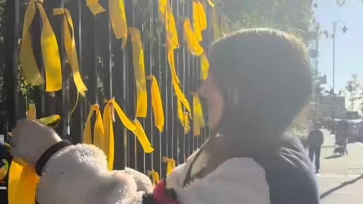 Anger as woman filmed cutting down ribbons from London memorial for Israeli hostages