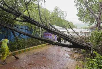 Cyclone ‘Montha’: 28 areas affected by tree falls and landslides in Southern Odisha