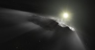 Scientists give their final verdict on the 'alien object' heading for Earth in weeks