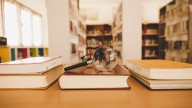 Maharashtra to hold scholarship exams for classes 4 and 7 from 2026