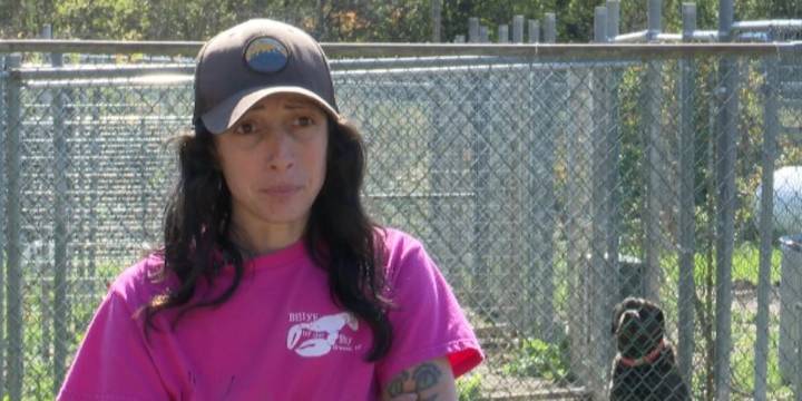 Woman seeks help after inheriting 135 dogs
