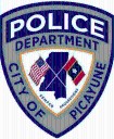 Suspect arrested after series of vehicle burglaries in Picayune