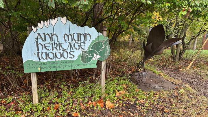 Find out when you can hunt deer, turkey and more in Tennessee