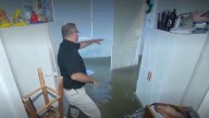 Mount Dora home floods after heavy rain, gator spotted in backyard