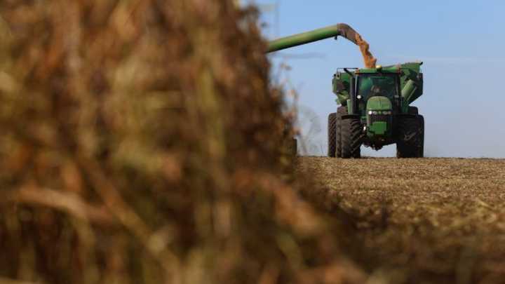Advierten que el ingreso de dólares del agro podría desplomarse un 80% en el final del año