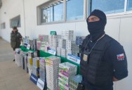 Incautan más de 7 mil cajetillas de cigarrillos en un domicilio en Arica: una ciudadana peruana fue detenida