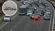 Perth traffic: Family of ducks cause six-car crash on Kwinana Freeway and delays for drivers