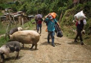 Procuraduría alerta por crisis humanitaria en el norte de Antioquia