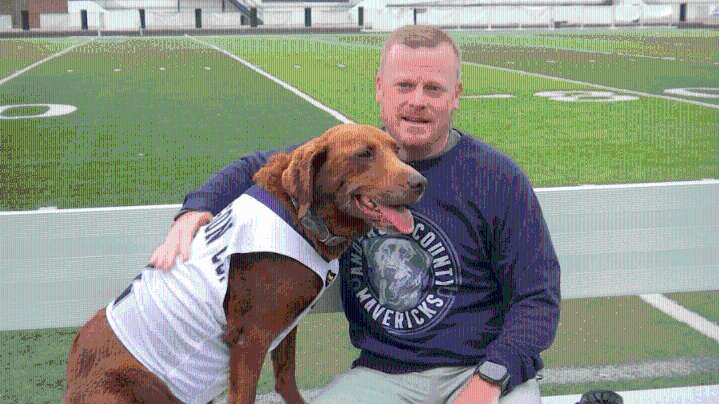 Ella, beloved Anderson County kickoff tee retriever, retires after seven seasons
