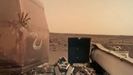 Adorable: This Little Critter Crawled Right Up To The Mars Lander And Gave It A Big Hug