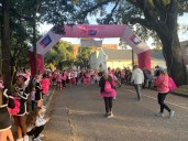 2025 Making Strides Against Breast Cancer event starts with new twist in Mobile