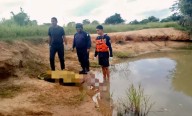 Tragedia en Anaco: Adolescente pierde la vida ahogado en una laguna.