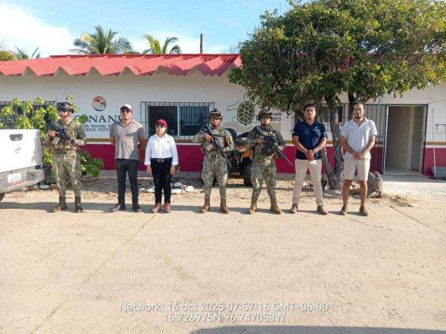 Marina aporta seguridad en arribazón de tortugas en costas de Oaxaca