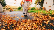 What Happens If The Leaves From Your Yard End Up In The Street