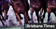 Race-by-race preview and tips for Taree on Friday