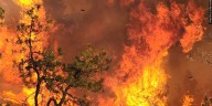 This Day in Michigan History: Fires of 1871
