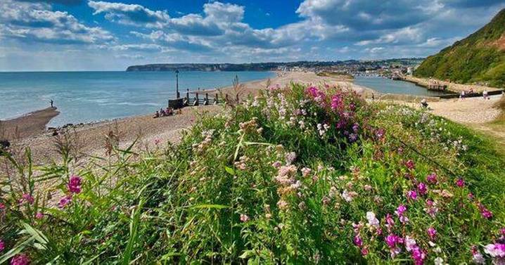 Discover Seaton: East Devon's independent business haven on UNESCO Jurassic Coast