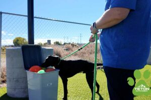 Meet Axel. He’s our Pet of the Week