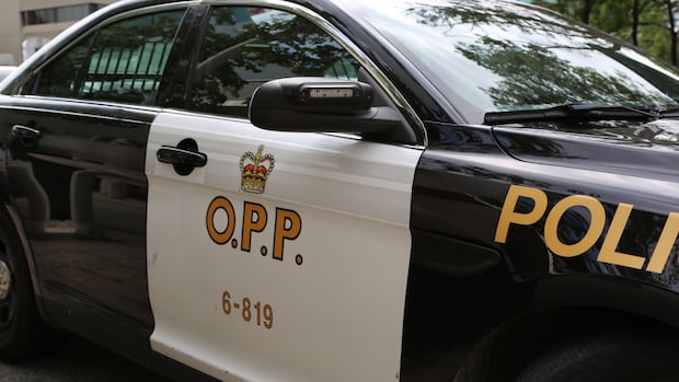 71-year-old woman killed in Simcoe, OPP say