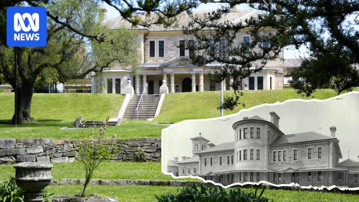 What the future holds for Sydney's former psychiatric hospital sites with storied pasts
