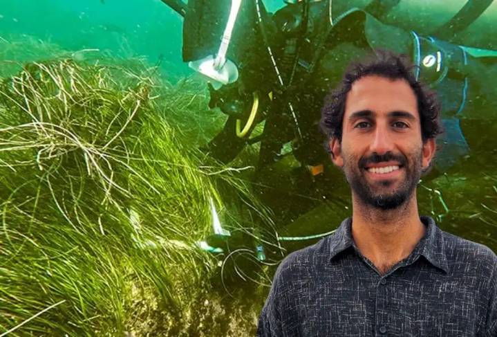 UNESCO galardona a científico mexicano por investigación sobre pastos marinos en Baja California