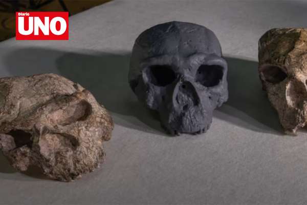 Cráneo de un millón de años en China desafía teorías sobre el origen humano