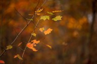 Familiar forecast for central Pa. today: chilly, cloudy, windy