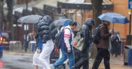 Met Office names Storm Amy with 80mph winds and torrential rain to lash UK