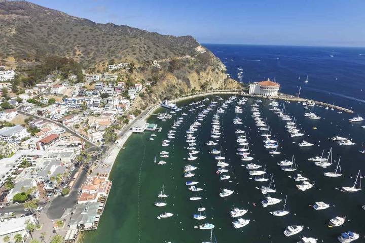 Solo Swimmer, 54, Bitten by 3-Foot Shark in 'Rare Attack' Near L.A.