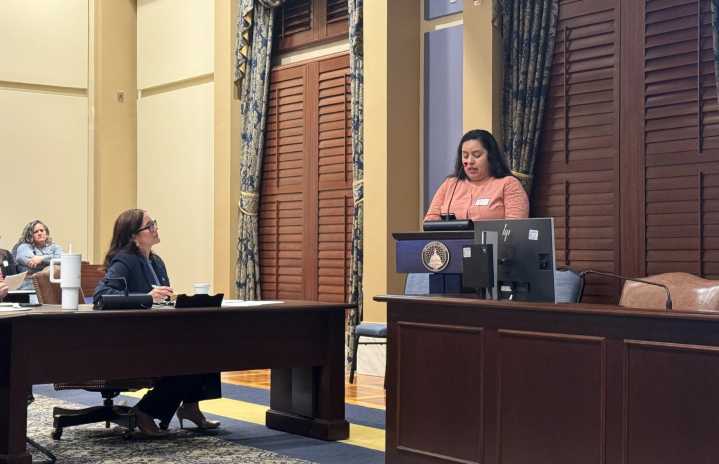 Advocates urge lawmakers to increase funding for mental health services