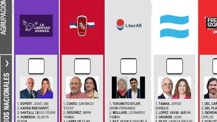 El fiscal electoral se opone a la reimpresión de la boleta con la cara de Diego Santilli