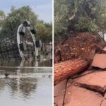 Phoenix Zoo officially reopens after three-day closure due to storm damage