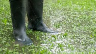The Smart Solution To Prevent Erosion In Your Yard From Overflowing Storm Water