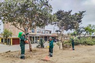 La Esperanza: Realizan limpieza, recojo de desmonte y mantenimiento de áreas verdes