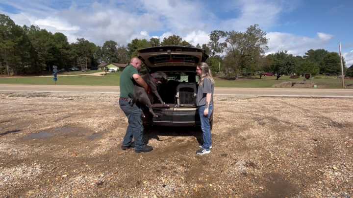 Lee County will contract out its animal control services