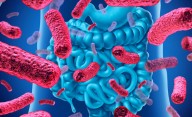 Los beneficios del café para tu salud intestinal: cuáles son