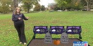 Trick-or-Treat forecast preview