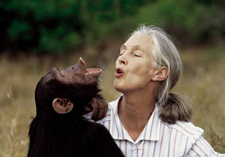 Muere Jane Goodall, premio Príncipe de Asturias en 2003